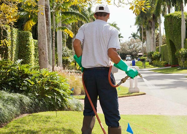 About Rothsay MN Pest Control